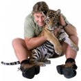 /album/fotogaleria/experience-image-tiger-jpg1/